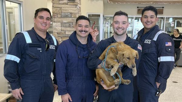 Dog rescued after more than week trapped inside shipping co<em></em>ntainer at Texas port