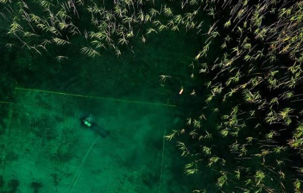 The community was found in Albania beneath Lake Ohrid. Credit: DNAN BECI/AFP via Getty Images